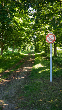 Entrance of a hiking trail in a forest with a road sign forbidding the use of motorised vehicles
