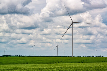 Wind turbines in the wheat field