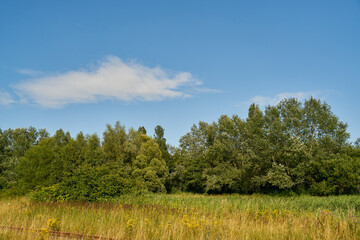 Fototapeta na wymiar Grüne Landschaft mit blauem Himmel am Tag