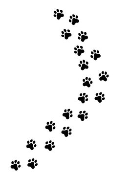 Dog pawprints3