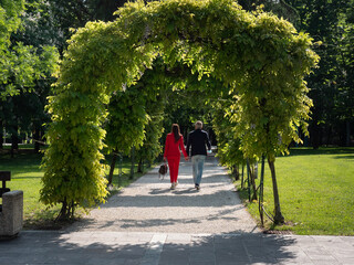 Fototapete bei efototapeten.de bestellen   