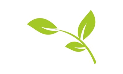 green nature leaf vector