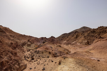 Dry and arid landscape of Sir Bani Yas Island in the Arabian Gulf, Abu Dhabi