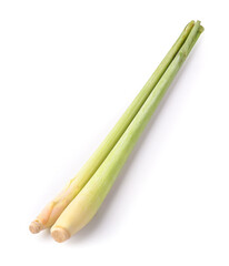 Lemongrass isolated on a white background