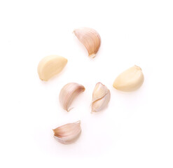 Fresh garlic on the white background.