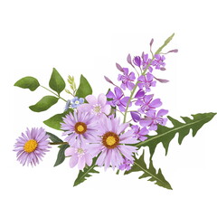 Hand painted realistic floral composition with adorable pink flowers of alpine aster and fireweed with green leaves. Botanic composition for wedding or greeting card. Summer bouquet.
