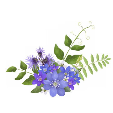 Hand painted realistic floral composition with adorable violet flowers of alpine snowbell and hepatica with green leaves. Botanic composition for wedding or greeting card. Spring bouquet.
