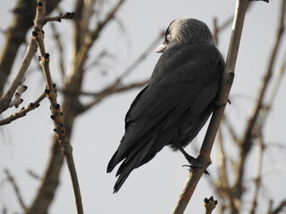 Schau wieder nach vorn! 