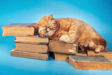 Funny business cat wearing glasses sleeping on the books. The cat lying on the pile of old books on...