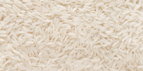 Raw rice Oryza sativa
