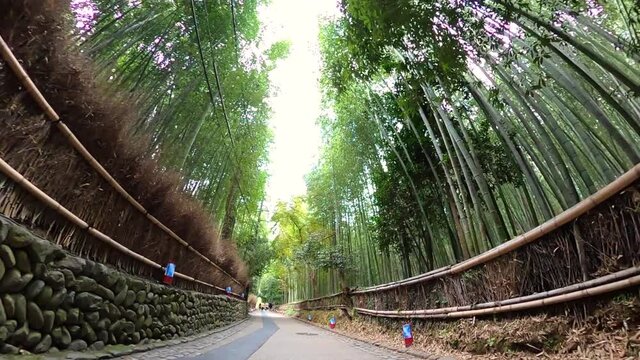 京都　嵐山・竹林の小径