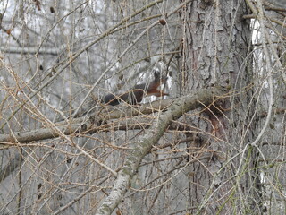 Ich tr&auml;ume von Dir! 