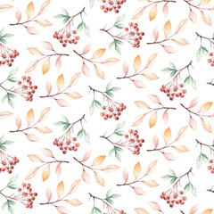 Fototapeta na wymiar Watercolor autumn seamless pattern with mashrooms, branches, leaves and berries. Set of autumn forest plants. Collection of herbarium garden.