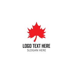 Maple Logo Template vector icon illustration