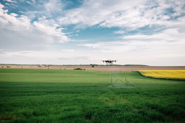 Fototapeta na wymiar Agriculture drone fly to sprayed fertilizer on the green tea fields, Smart farm 4.0 concept