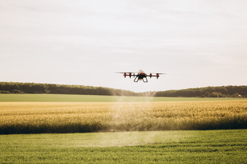 Fototapeta na wymiar Agriculture drone spraying water fertilizer on the sunflower field
