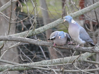 Sei nicht so neugierig