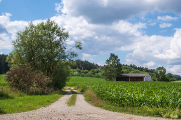 Fototapeta na wymiar A dirt road in the middle of an agricultural area in Franconian Switzerland / Germany 