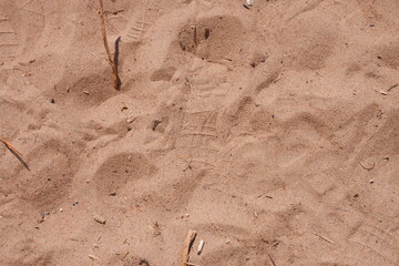Sand background. Sand texture. On the shores of the Gulf of Finland.