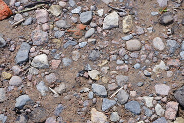 Stones on the shore of the Gulf of Finland