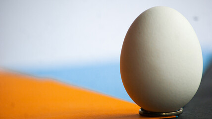 the egg standing upright. Colorful backdrop and endless white background.