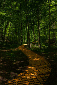 Forest road made of yellow bricks, dark shadows under the trees with some sunlight, winding down into the forest