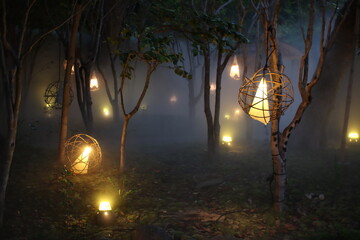 Foggy forest and gentle light