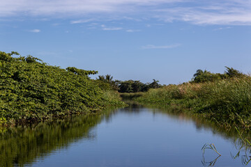 Fototapeta na wymiar the river view - Dominican republic