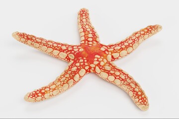 Realistic 3D Render of Necklace Starfish