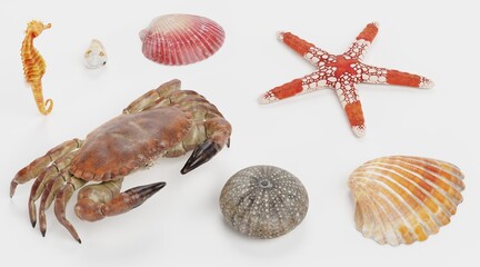 Realistic 3D Render of Sea Animals