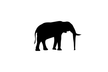 Fototapeta premium Elephant icon. Vector illustration for graphic design, Web, UI, app.