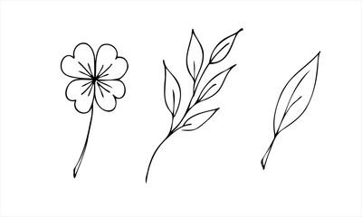 A set of leaves of different shapes. Isolated vector illustration, simple cartoon line art.