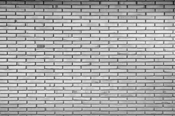 Black and white tone image. Brick wall for background.
