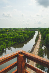 Mangrove scenery at Rak Samae bridge in Rayong.