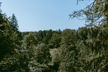 Landscape shot of the valley by the Loja river. Luscious and green forest to the horizon. Vintage filter