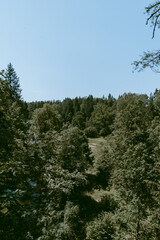 Landscape shot of the valley by the Loja river. Luscious and green forest to the horizon. Vintage filter