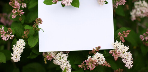 Paper card mockup on a Green Leaves and lilac flowers.Creative layout made of flowers and leaves with paper card note. Flat lay. Nature concept