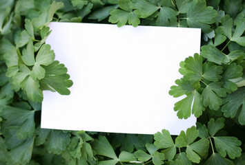 Paper card mockup on a green leaves.Creative layout made of flowers and leaves with paper card note. Flat lay. Nature concept.