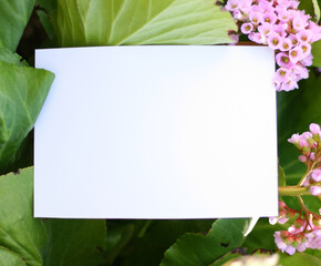 Blank paper card with frame of pink flowers on green background from above. Flat lay style. Space for text.