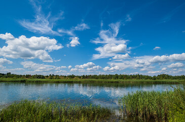 Fototapeta na wymiar Small picturesque rushy lake. Sunny, summer day.