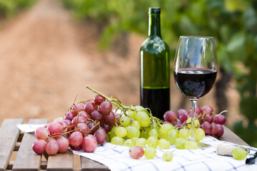 Obraz na płótnie Canvas still life with glass of red wine and grapes