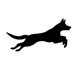 belgian malinois dog jumping running silhouette graphic - obrazy, fototapety, plakaty