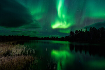 Fototapeta na wymiar Northern lights, Torneträsk, Abisko, Sweden