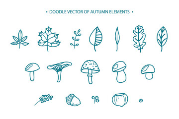 Set of hand-drawn line icons of autumn elements: leaves, berries, mushrooms, nuts. Vector flat illustration isolated on a white background.