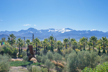 green garden with palm trees on the background of snow-capped high atlas mountains on the horizon...