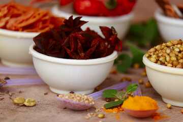 Spices and herbs in white bowls, spice in small spoon,food and cuisine ingredients,various spices collection,Food background,turmeric, star anise,mace,cloves