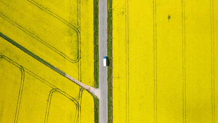  a road that leads through a rapeseed field on which a lorry truck is driving.