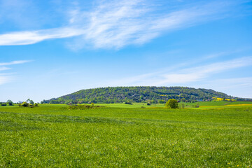 Scenic view from a meadow against a table hill in summer