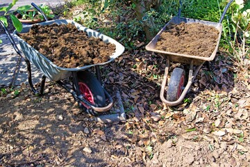 Wheel barrows full of compost to fill a hole.