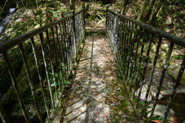 森の中にある古びた橋